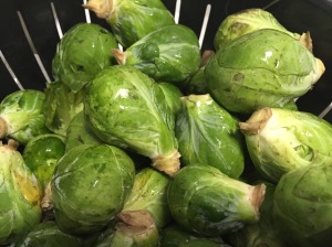 Farm fresh brussel sprouts from one of Joseph's fitness clients! UGHHH BRUSSEL SPROUTS.